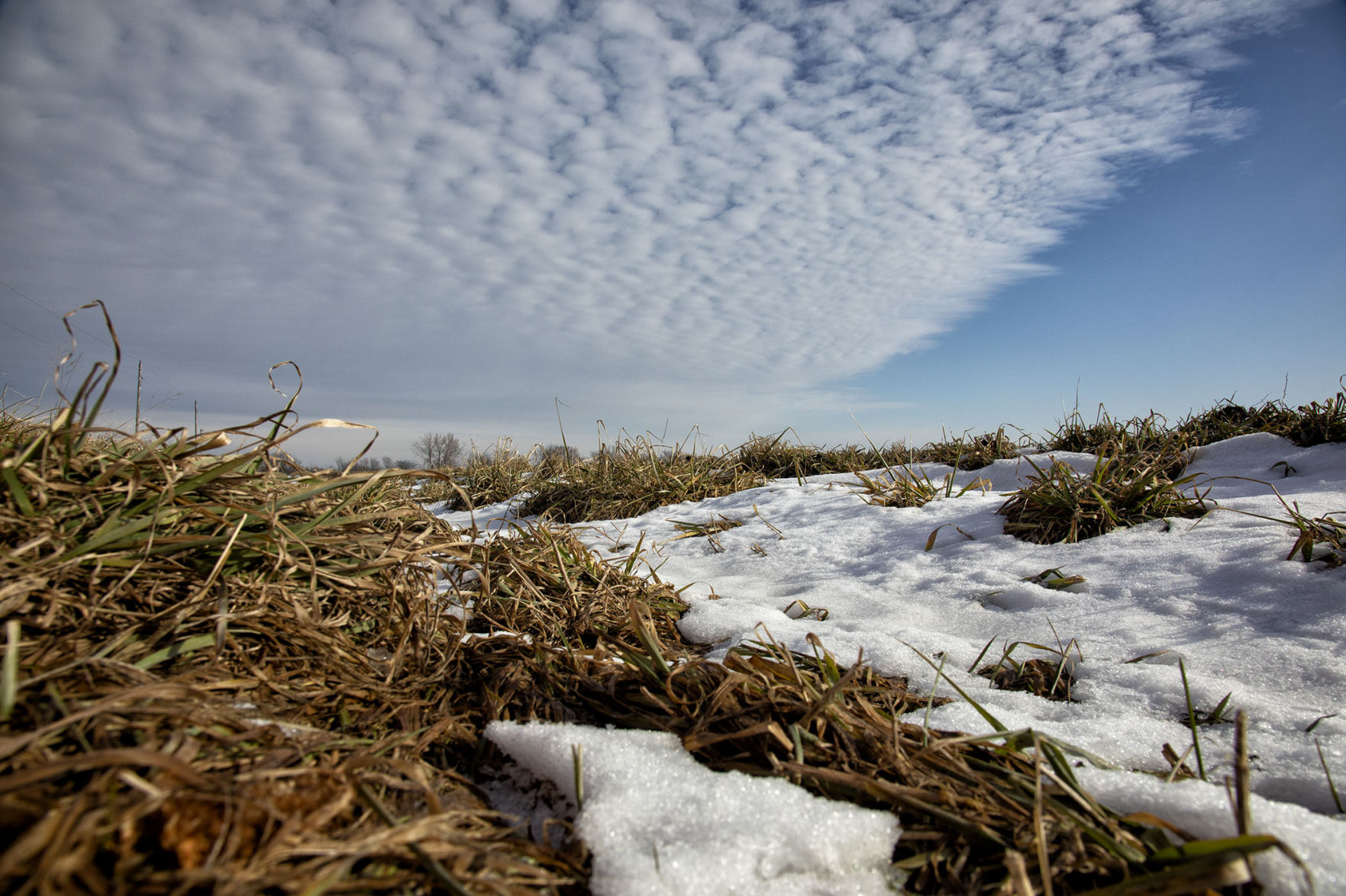 WINTER SNOWSCAPE